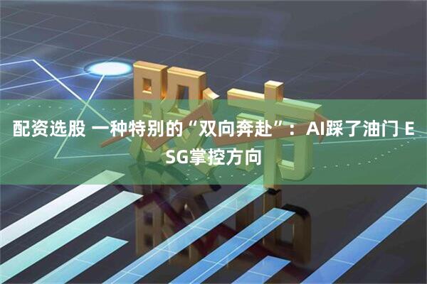 配资选股 一种特别的“双向奔赴”：AI踩了油门 ESG掌控方向