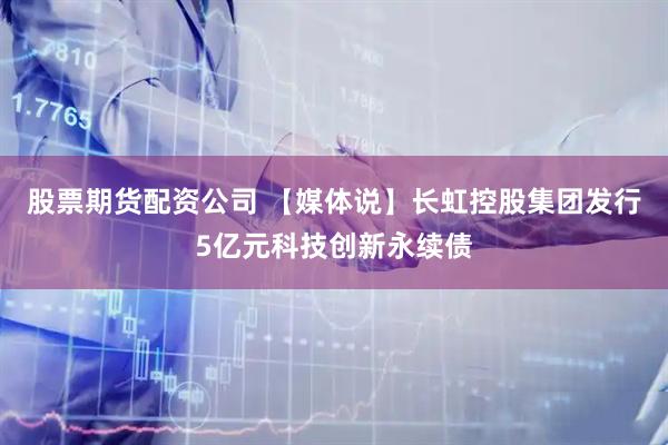 股票期货配资公司 【媒体说】长虹控股集团发行5亿元科技创新永续债