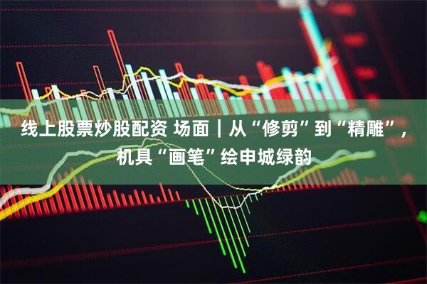 线上股票炒股配资 场面｜从“修剪”到“精雕”，机具“画笔”绘申城绿韵
